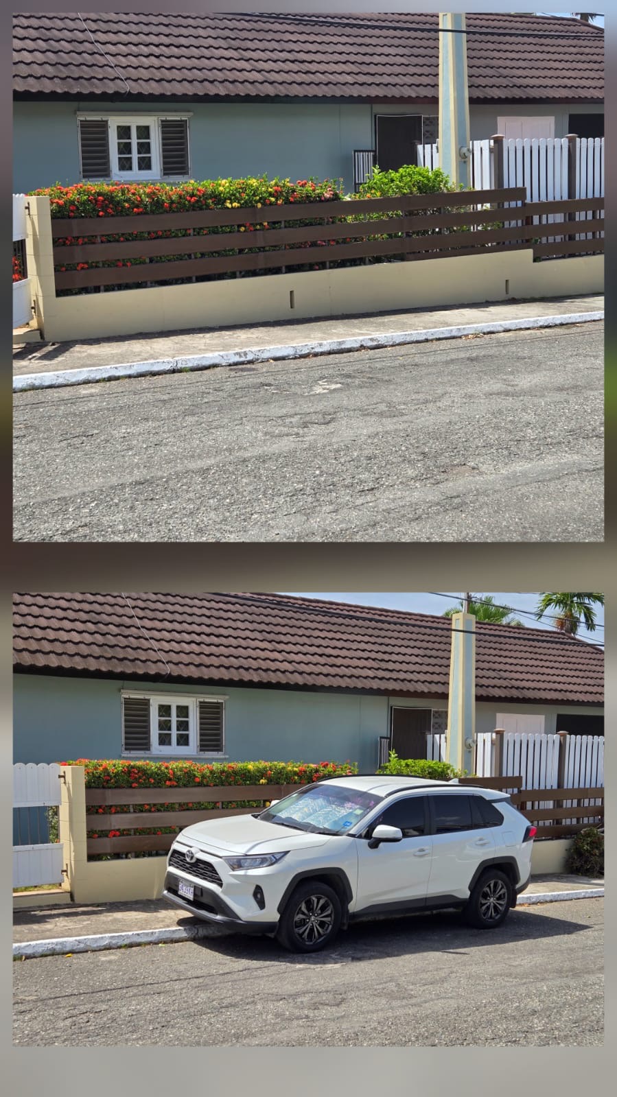 Garden & fence