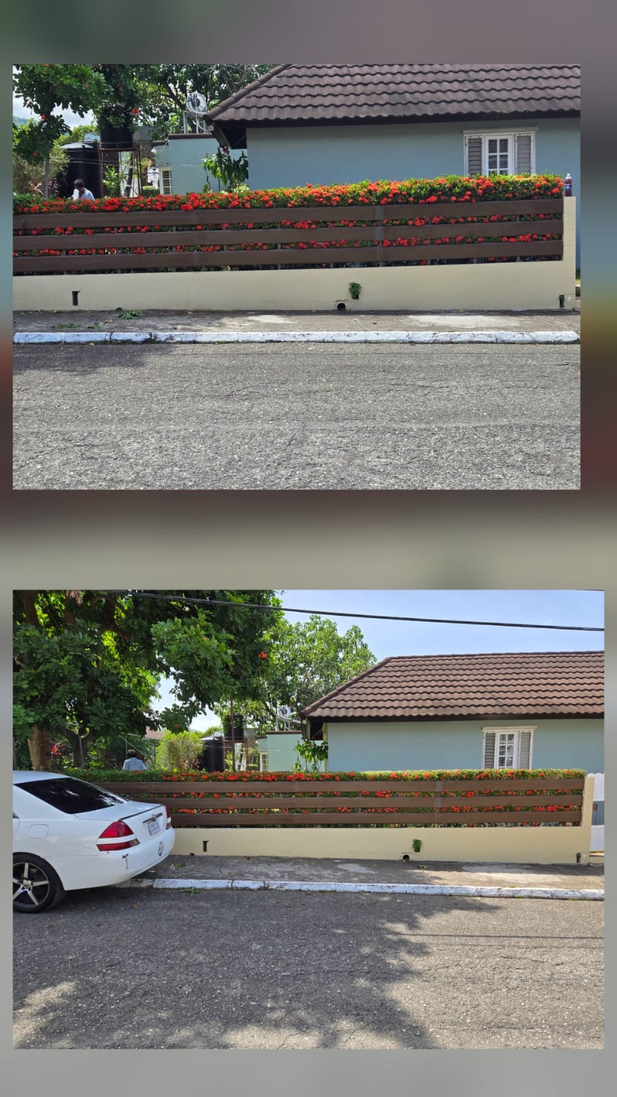 Garden & fence