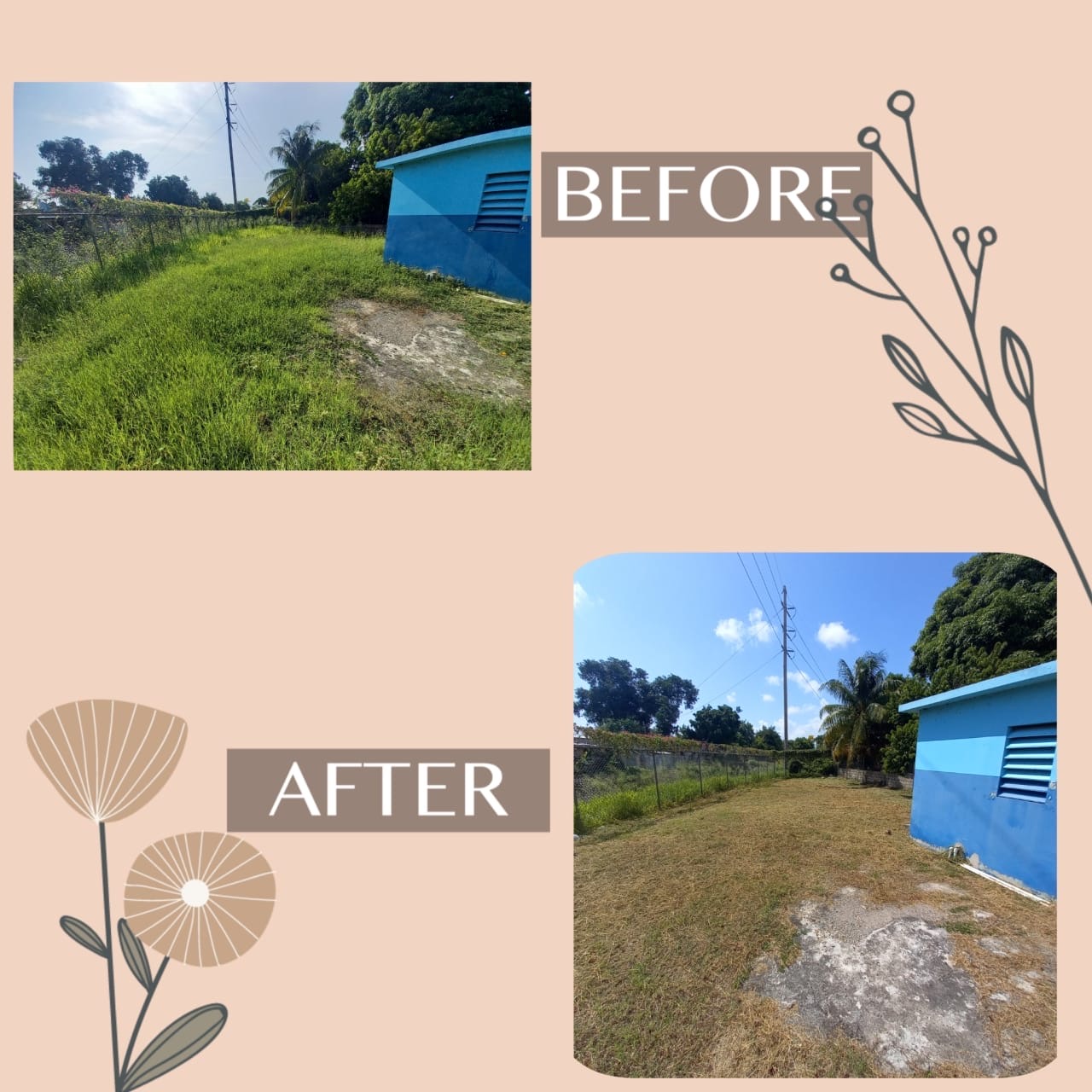 Lawn restoration