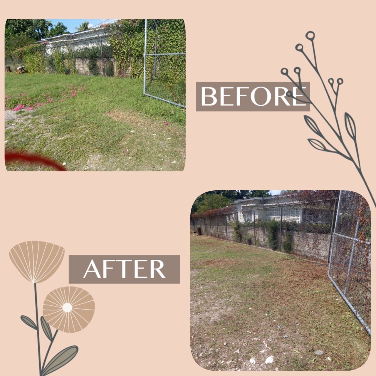 Lawn restoration