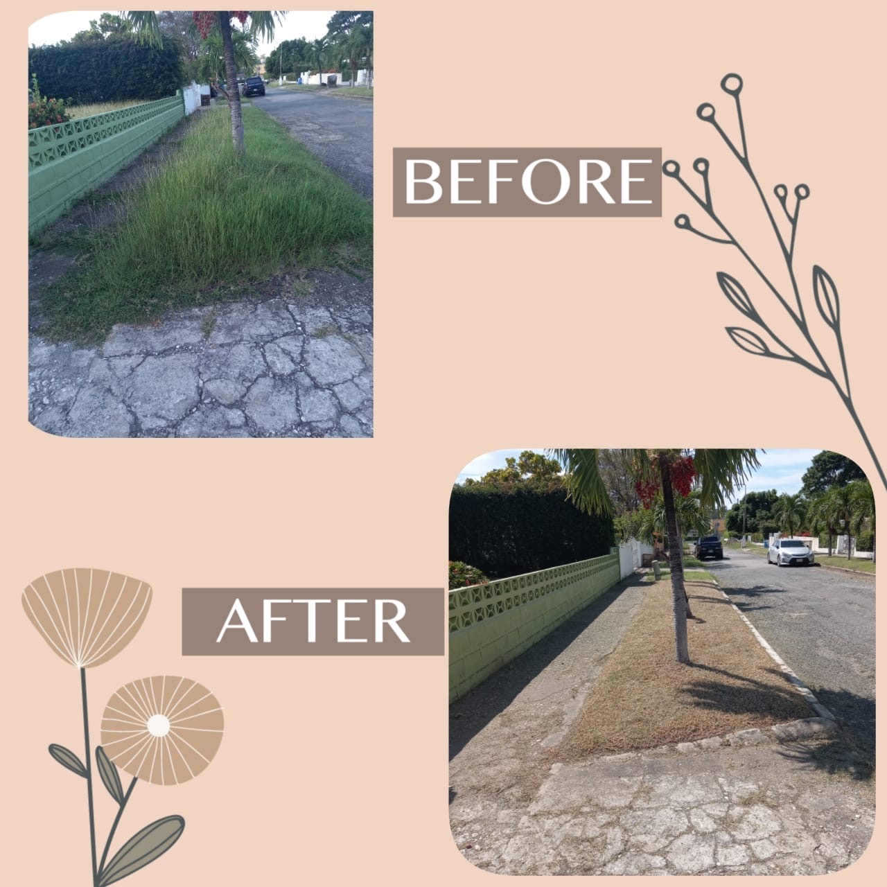 Sidewalk & paving