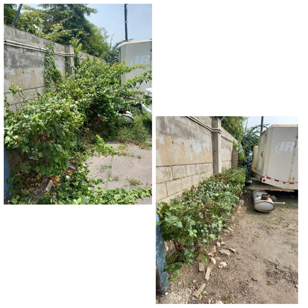 Wall & hedge trimming